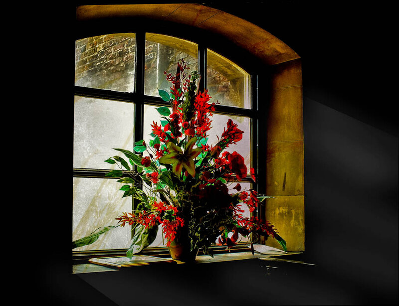Red Flowers in Vase — Dramatic, Photograph