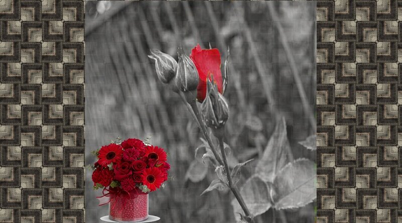 Red Flowers in Vase — Dramatic