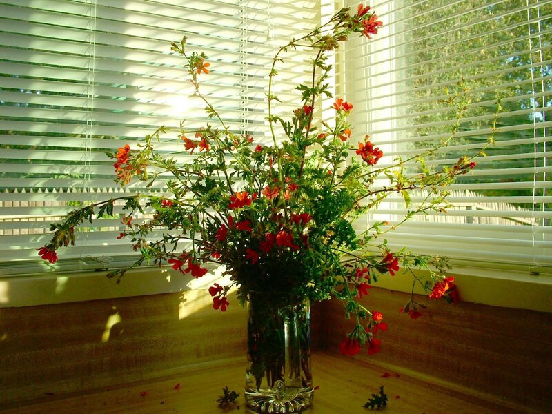 Red Flowers in Vase — Green
