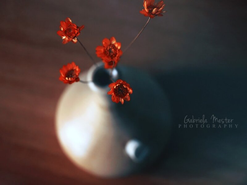 Red Flowers in Vase — Serene