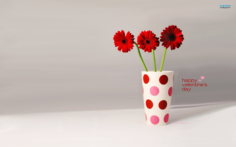 Red Flowers in Vase — White, Calm