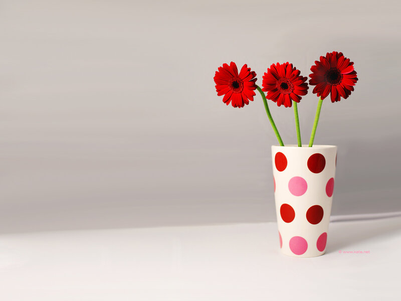 Red Flowers in Vase — White