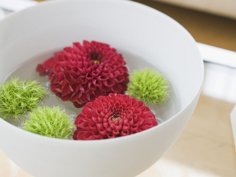 Red Flowers in Water — White