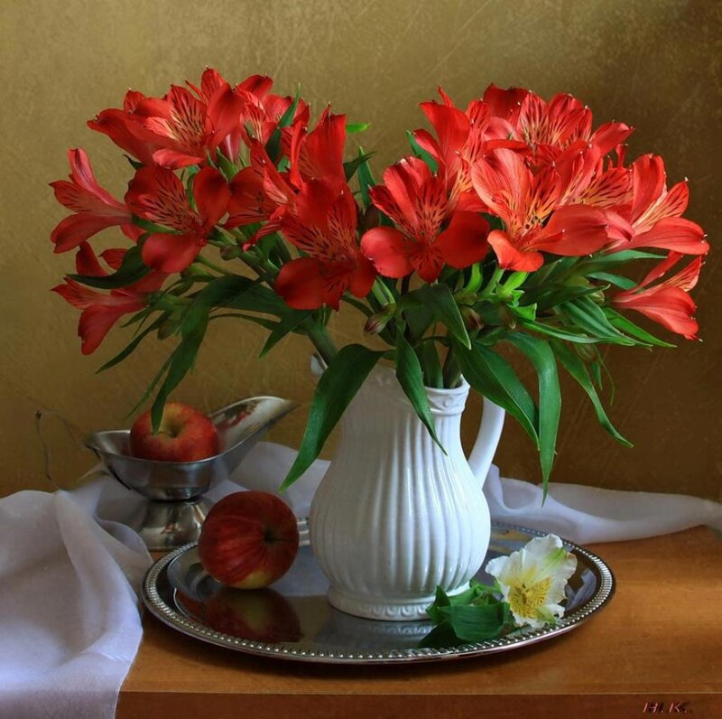 Red Flowers in White Vase — Serene, Photograph