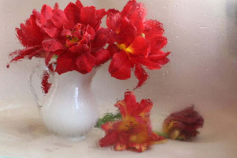Red Flowers in White Vase
