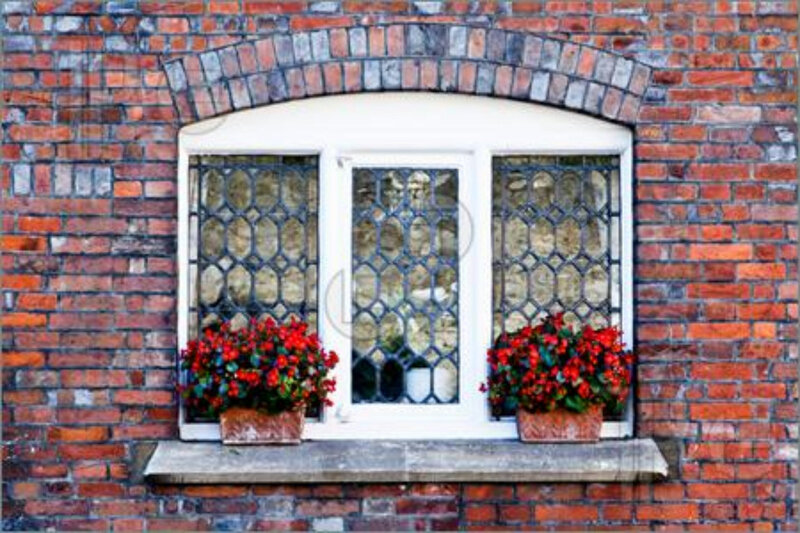 Red Flowers in Window