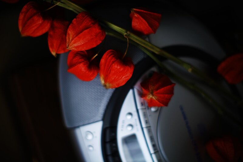 Red flowers on a stereo