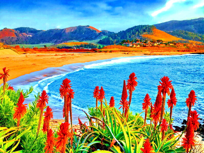Red Flowers on Beach — Blue, Serene