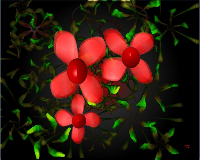 Red Flowers on Black