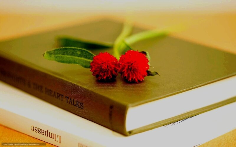 Red Flowers on Book — Green