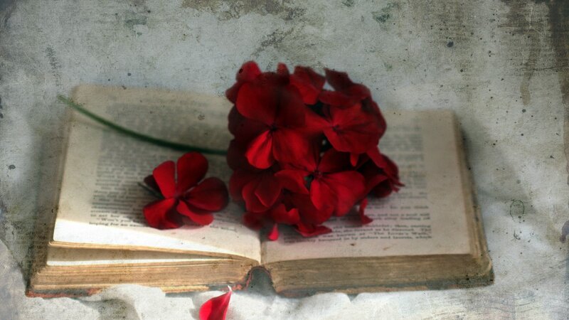 Red Flowers on Book — Serene, Photograph, Fabric