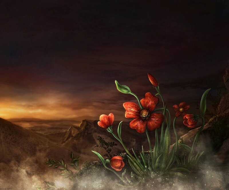 Red Flowers on Cliff — Dramatic
