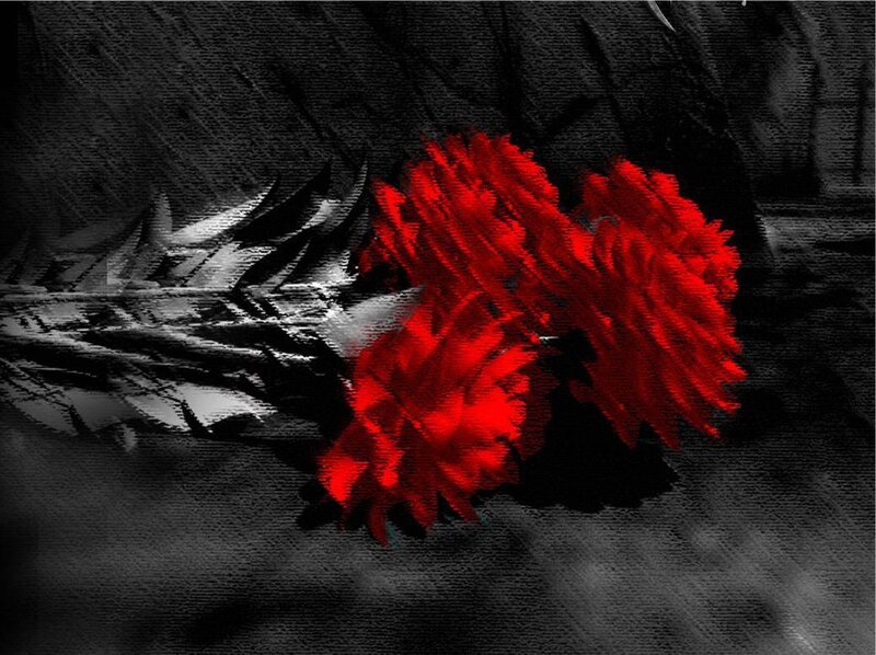 Red flowers on dark background