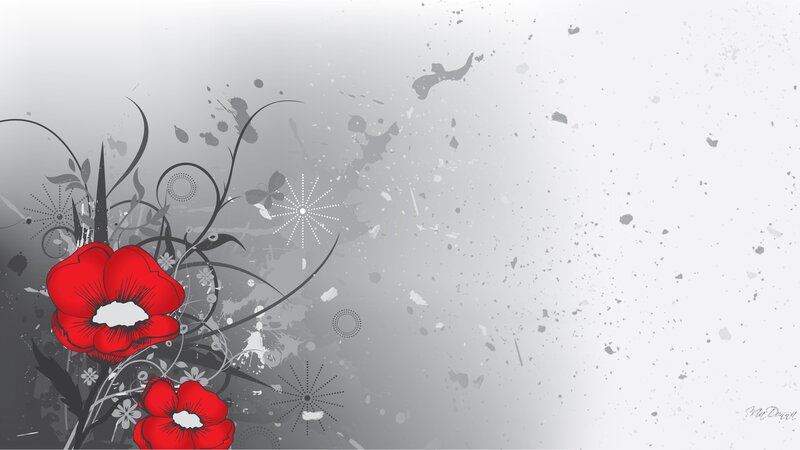 Red Flowers on Gray Background