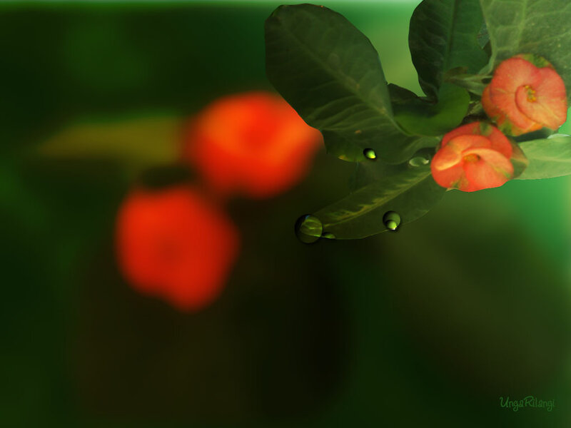 Red Flowers on Green Leaves — Serene