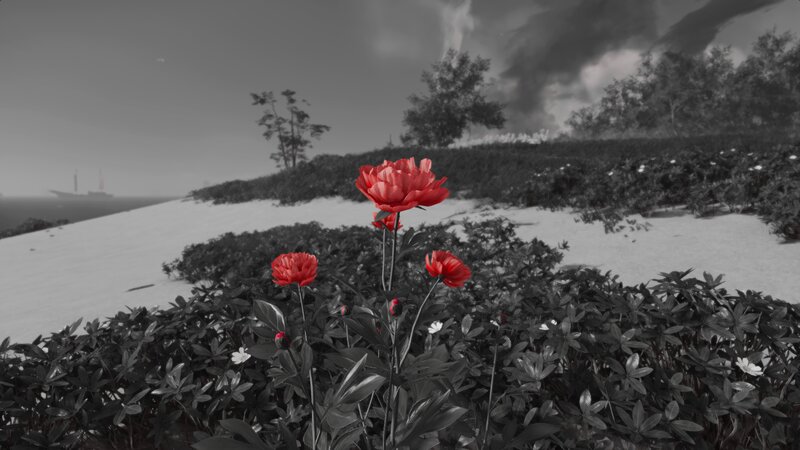 Red Flowers on Hillside — Dramatic