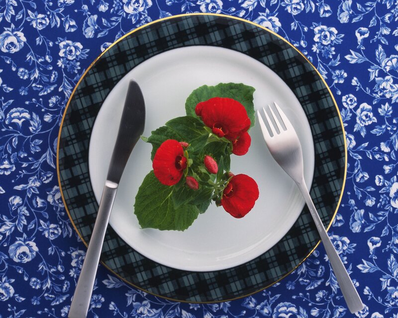 Red Flowers on Plate — Blue