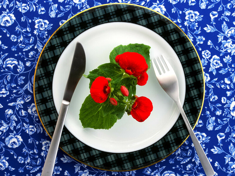 Red Flowers on Plate