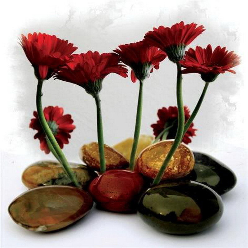 Red flowers on polished stones