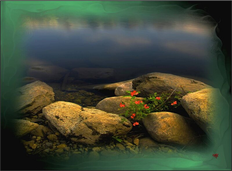 Red Flowers on Rocks — Green