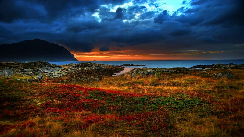 Red Flowers on Rocky Shore — Blue, Dramatic, Sunset, Photograph, Mountain, Sea