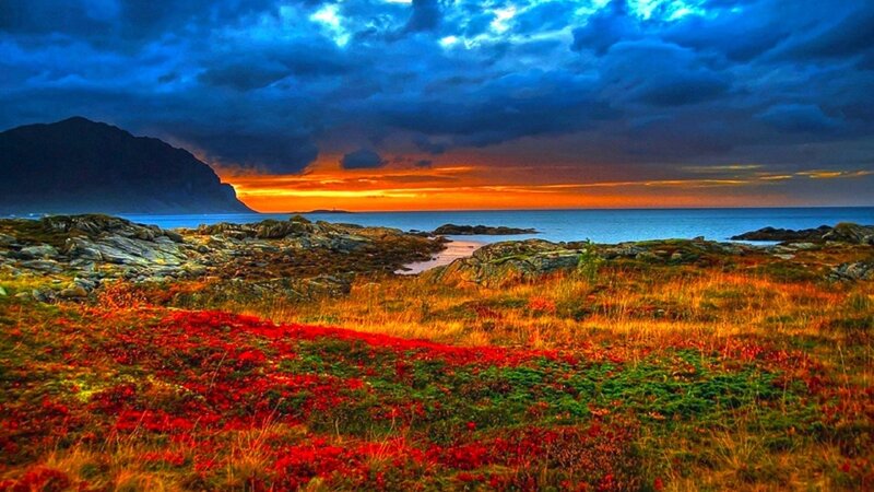 Red Flowers on Rocky Shore — Blue, Dramatic, Sunset, Photograph, Mountain