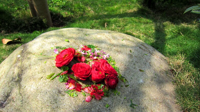 Red Flowers on Stone