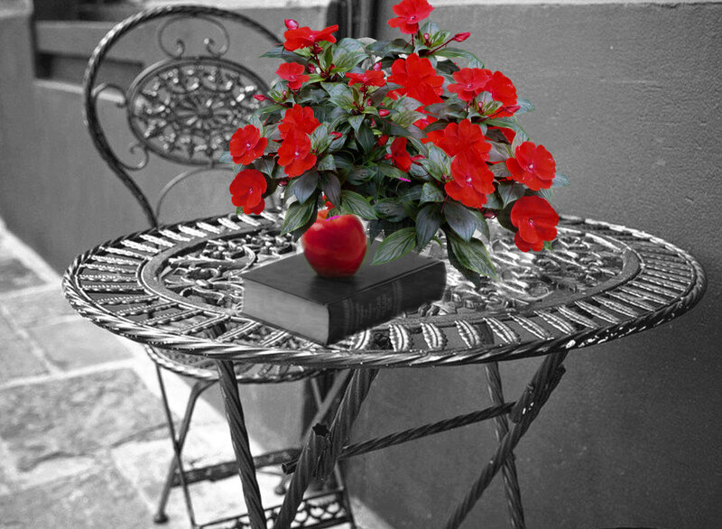 Red Flowers on Table