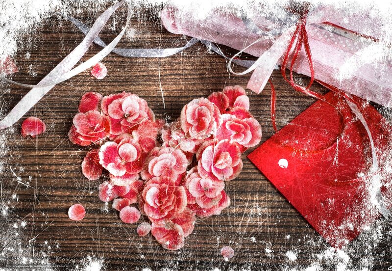 Red Flowers on Wood — Romantic, Photograph