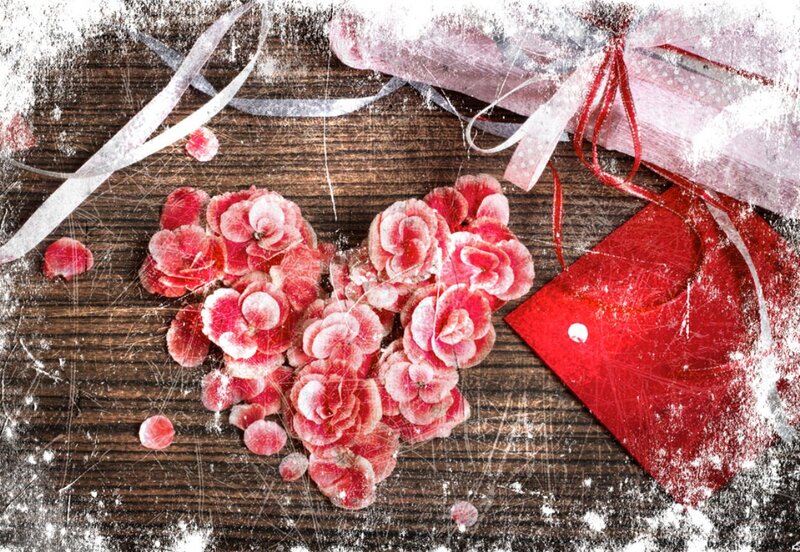 Red Flowers on Wood — Romantic