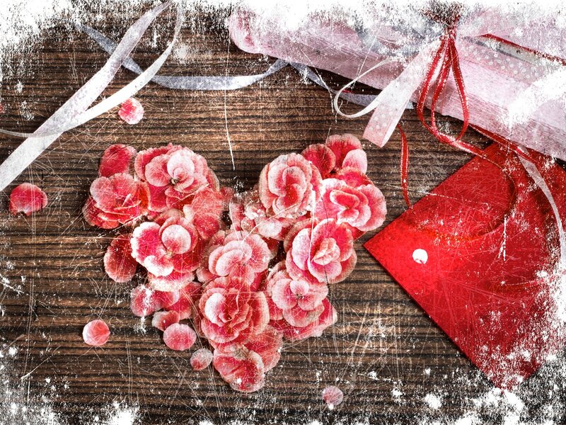 Red Flowers on Wood