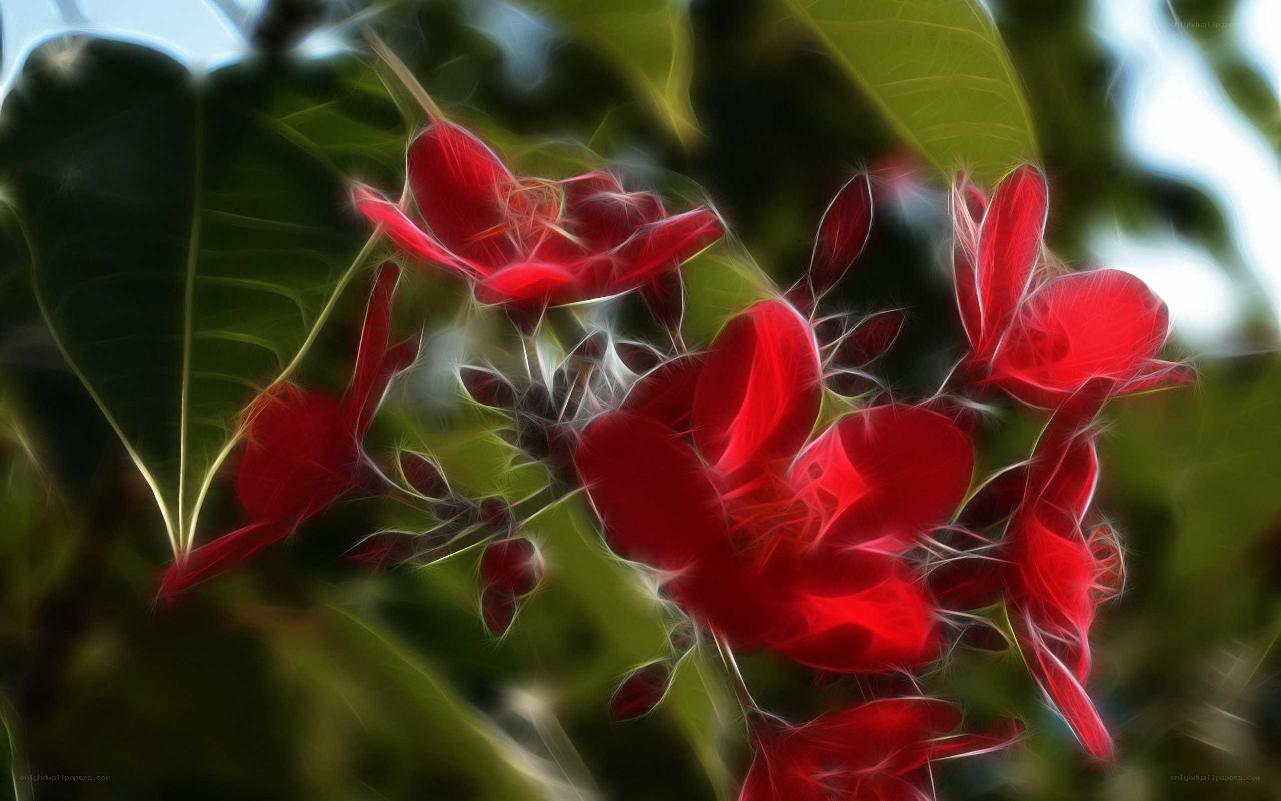 Red flowers with glowing effect