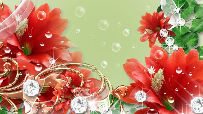 Red Flowers with Gold Frame