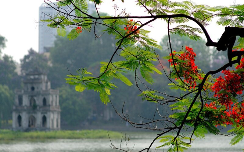 Red flowers with temple in background
