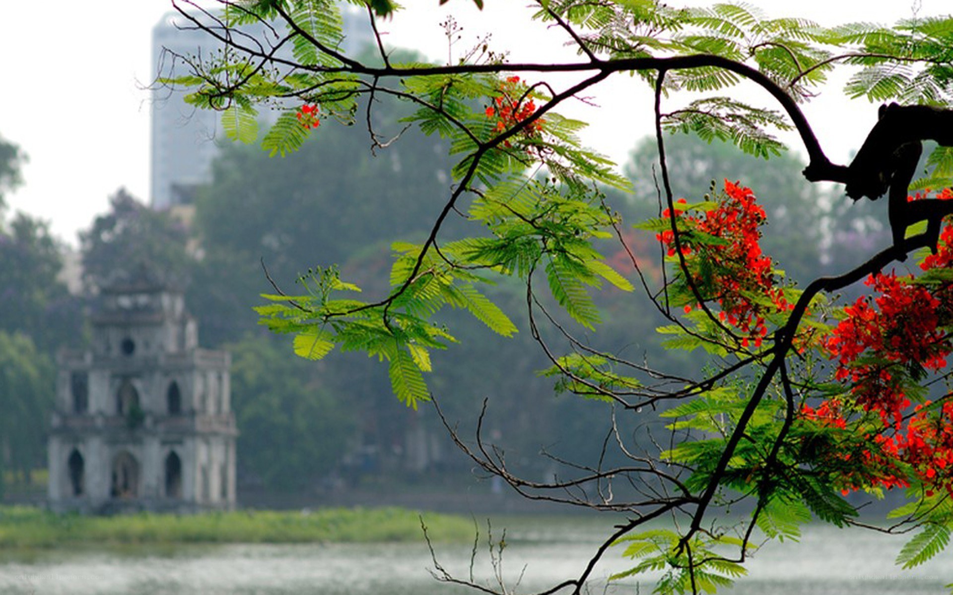 Red flowers with temple in background