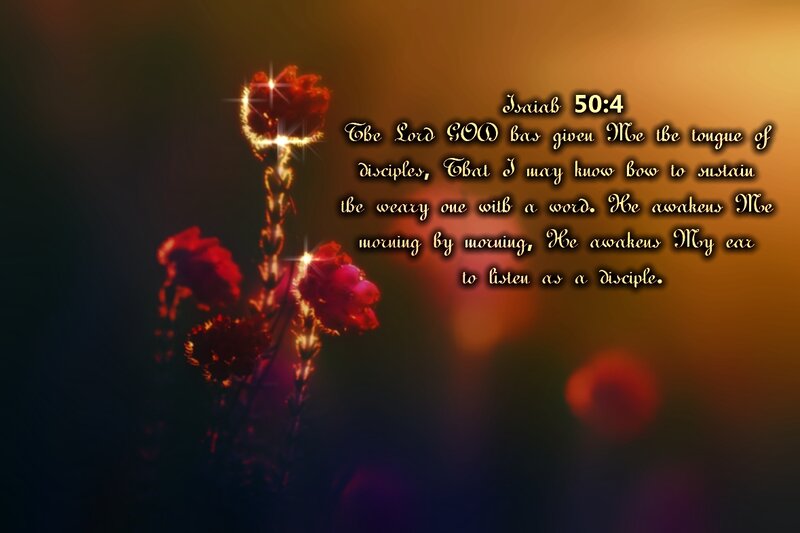Red Flowers with Text