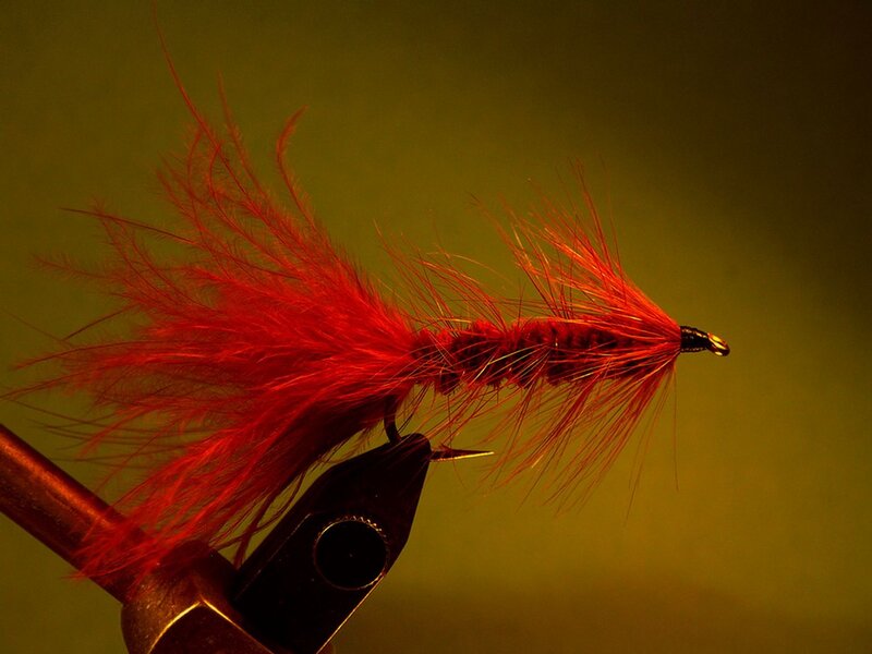 red fly fishing lure
