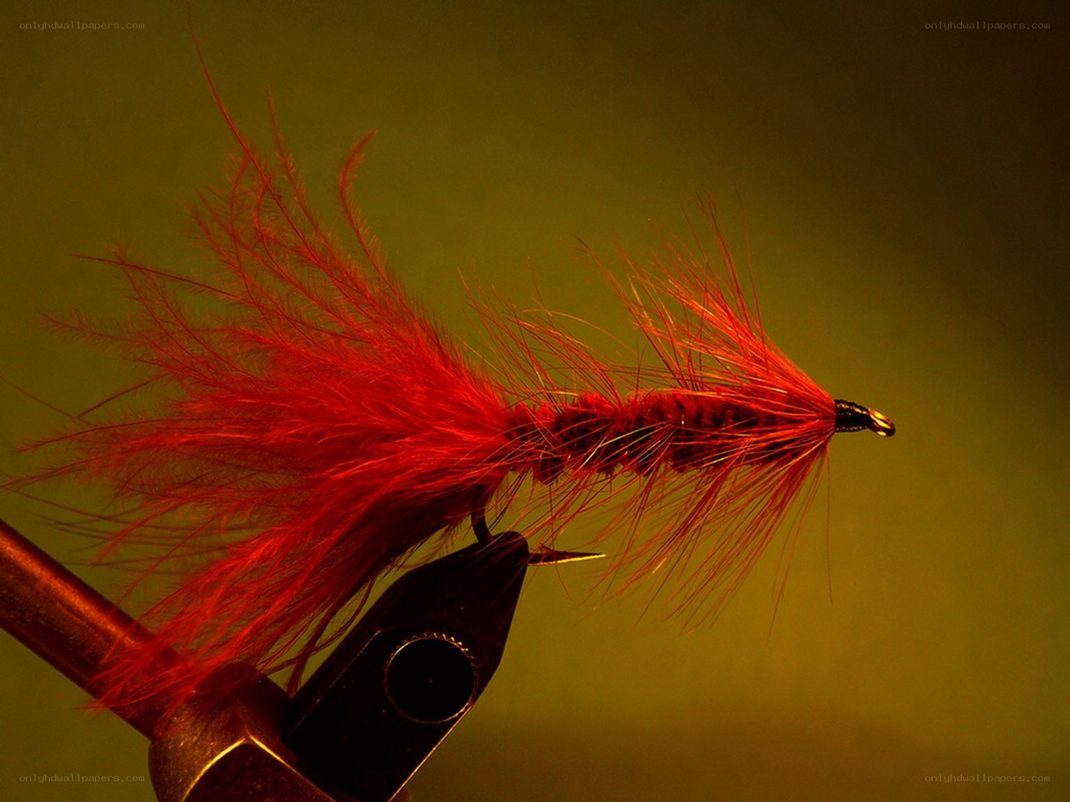 red fly fishing lure