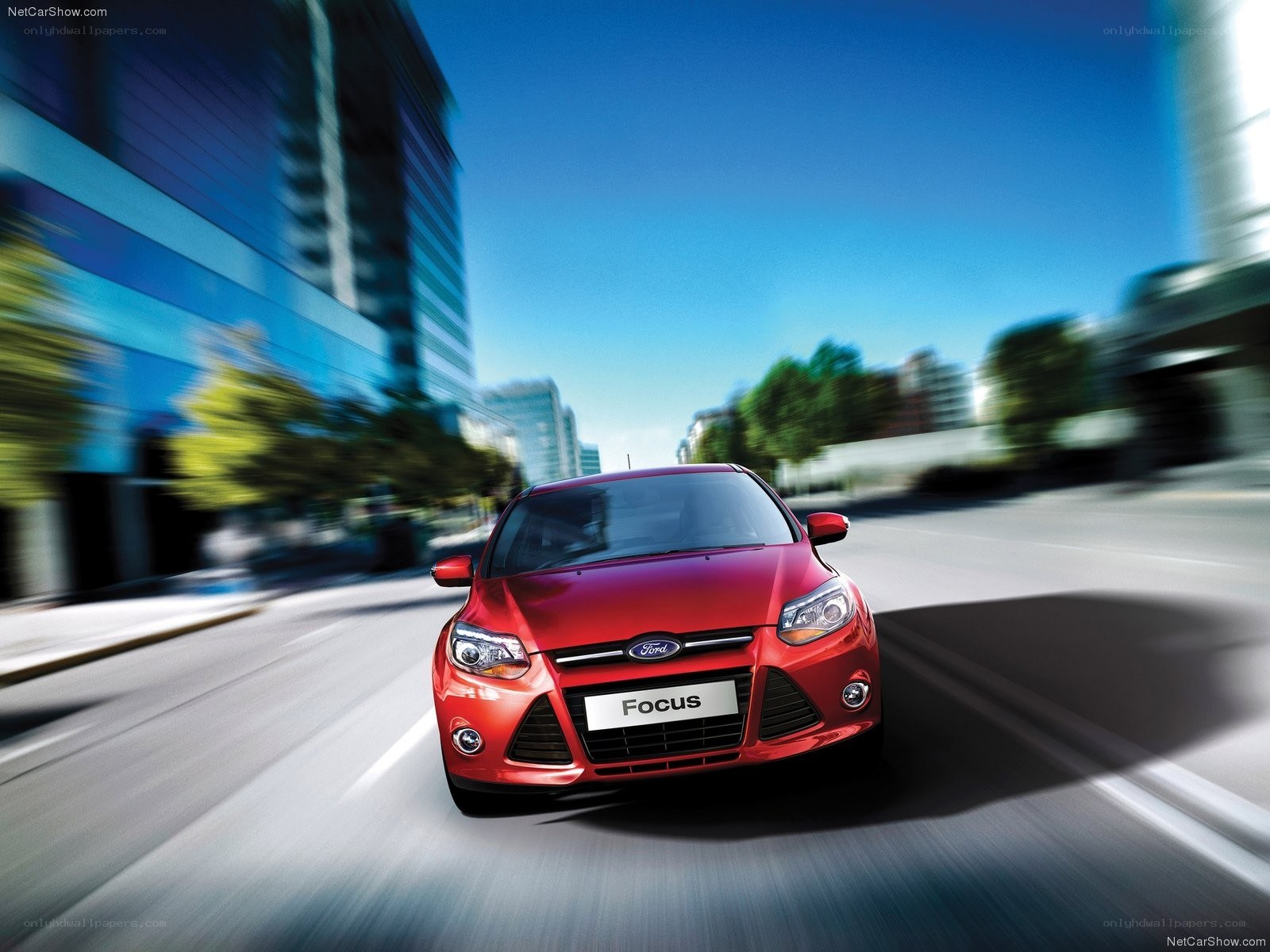 Red Ford Focus in city