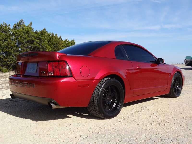 Red Ford Mustang Cobra — Outdoor