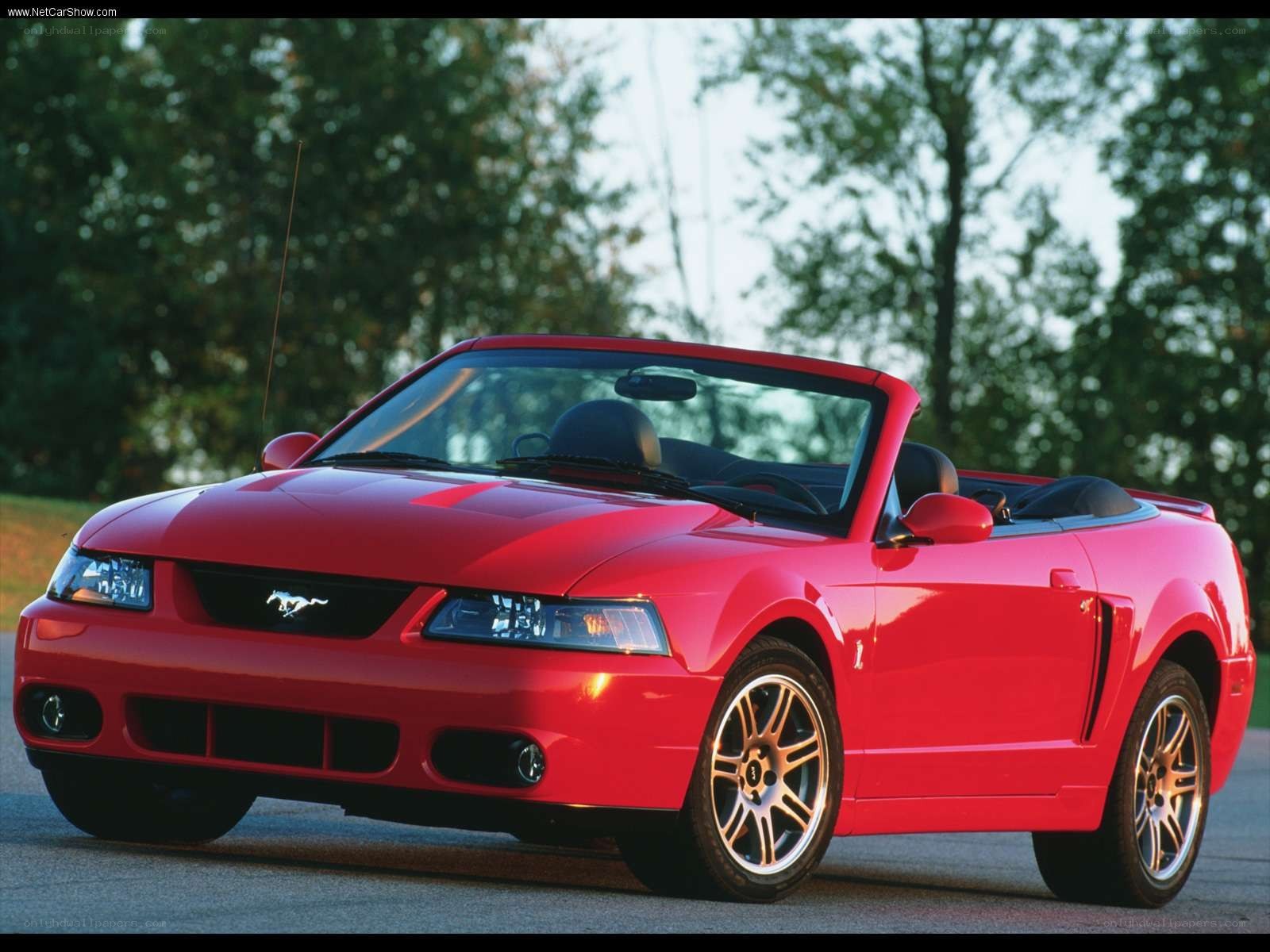 Red Ford Mustang convertible