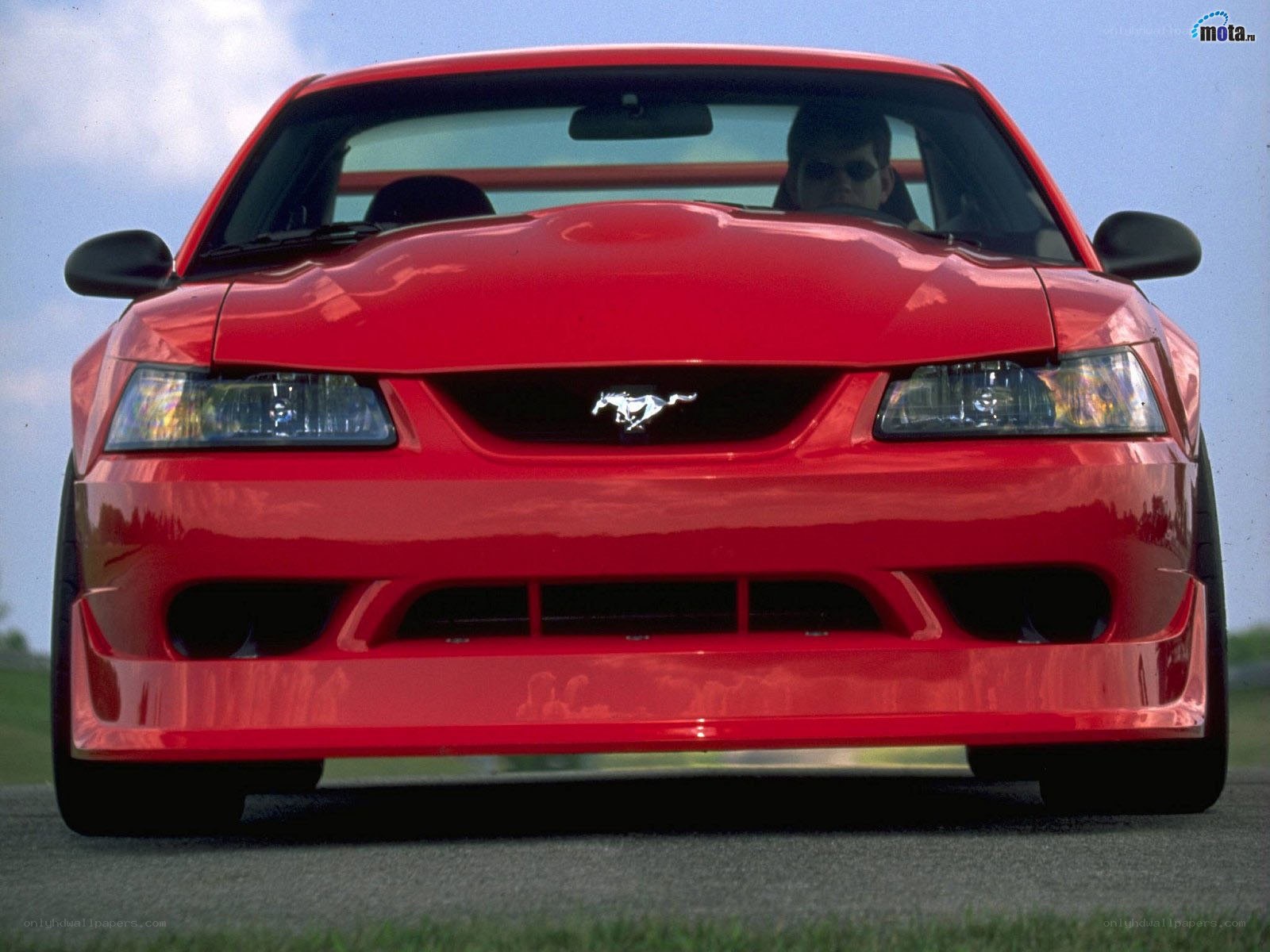 Red Ford Mustang front view