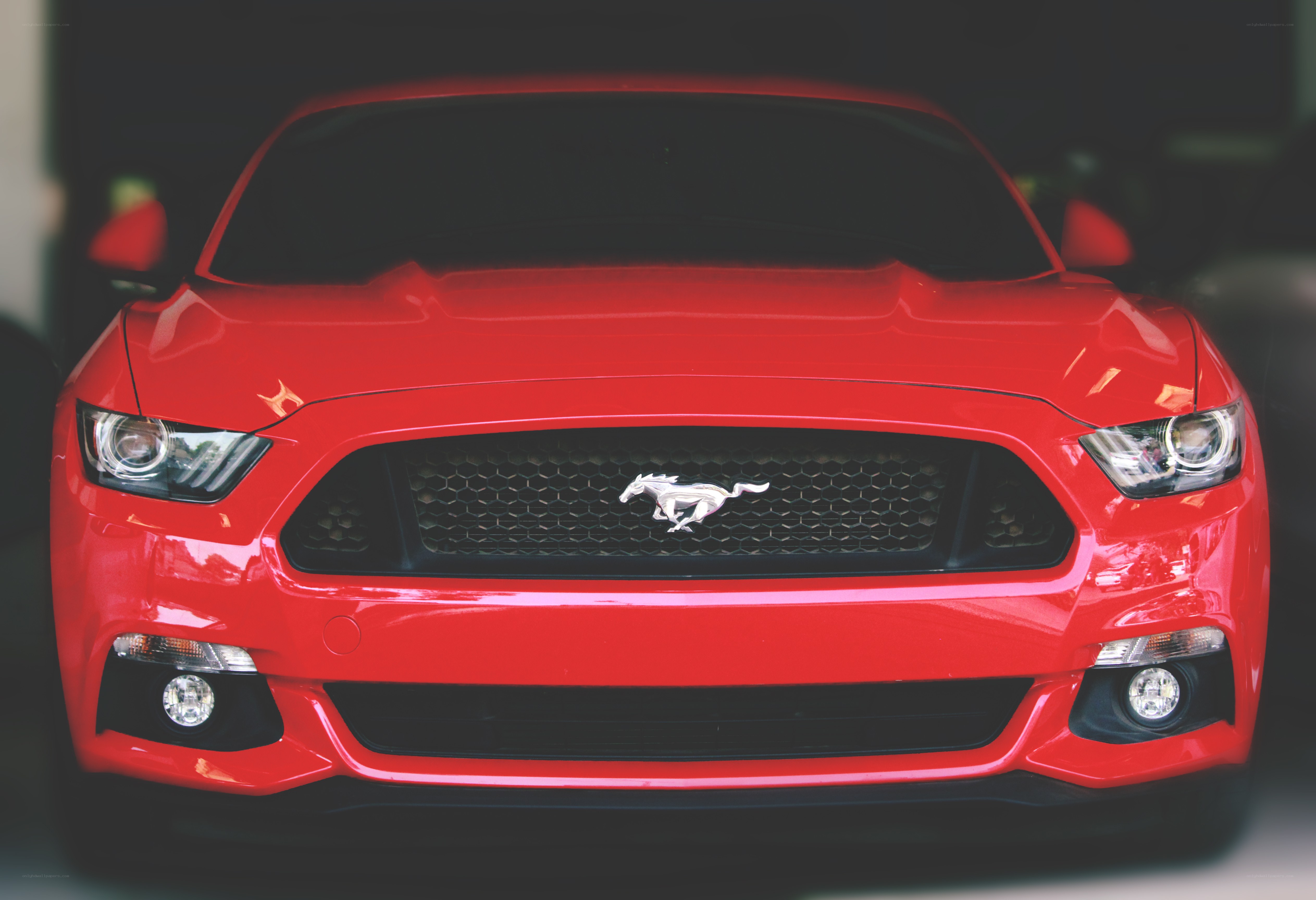 Red Ford Mustang front view