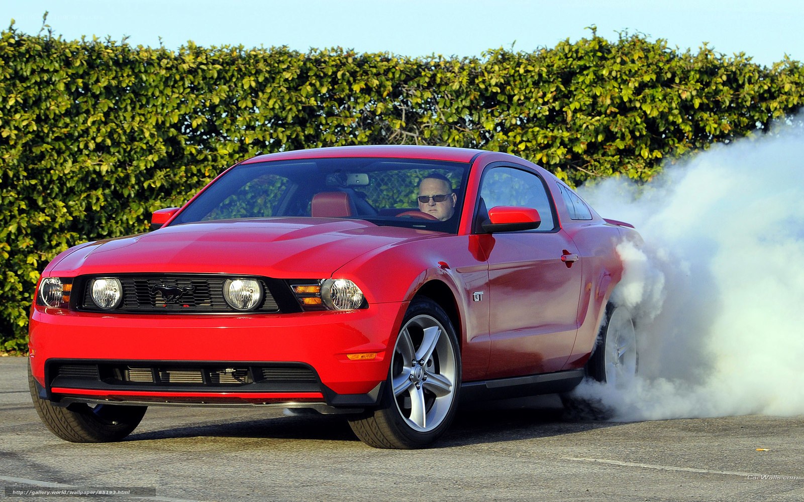 Red Ford Mustang GT burnout