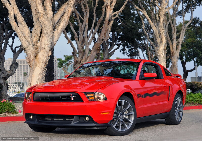 Red Ford Mustang Gt — Calm