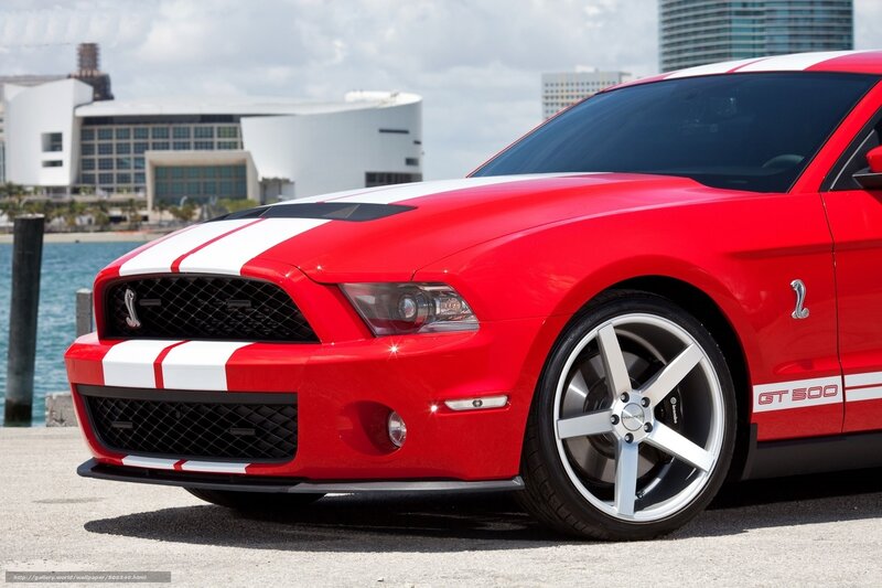 Red Ford Mustang Gt500 — Dramatic, Afternoon