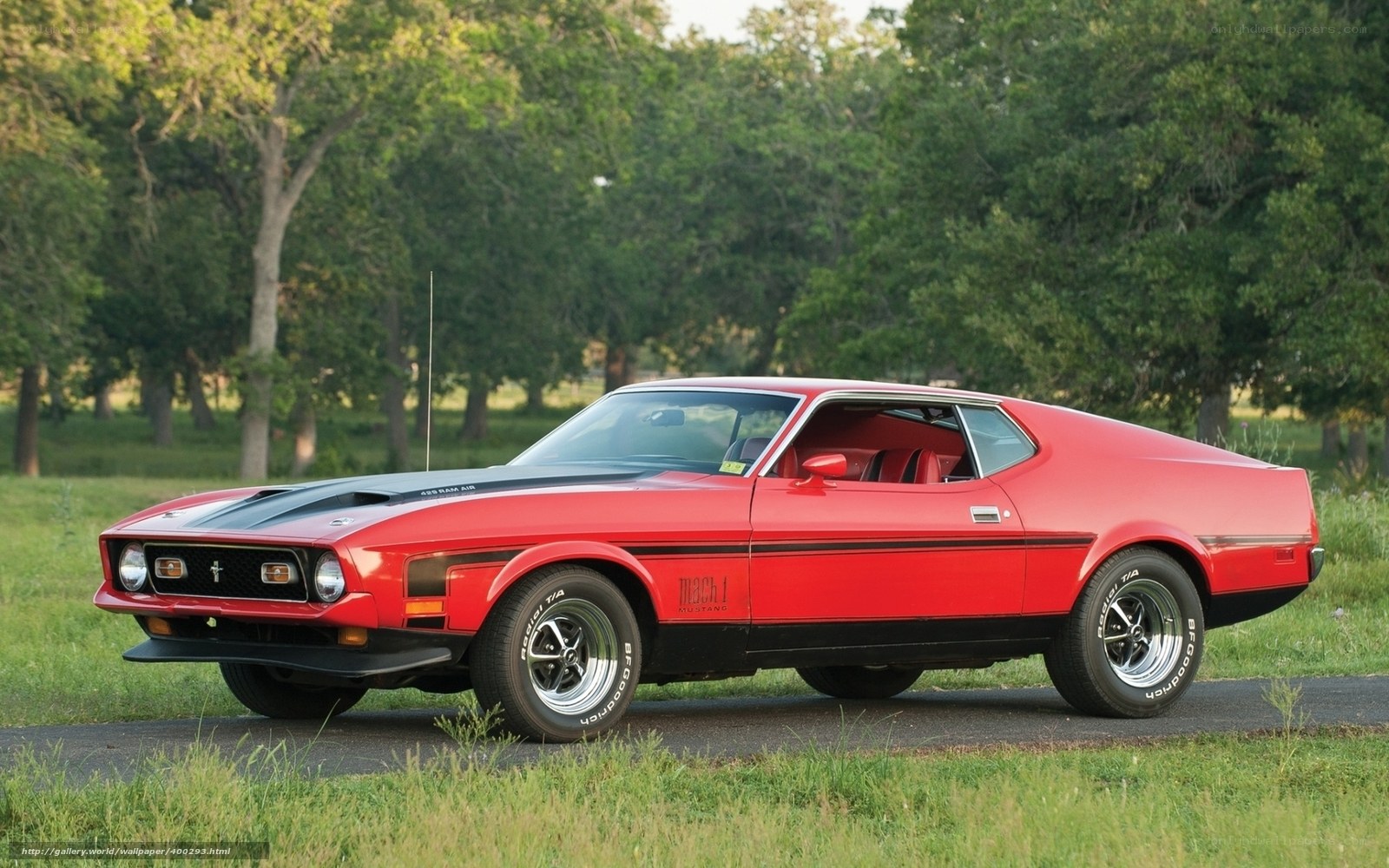 Red Ford Mustang Mach 1