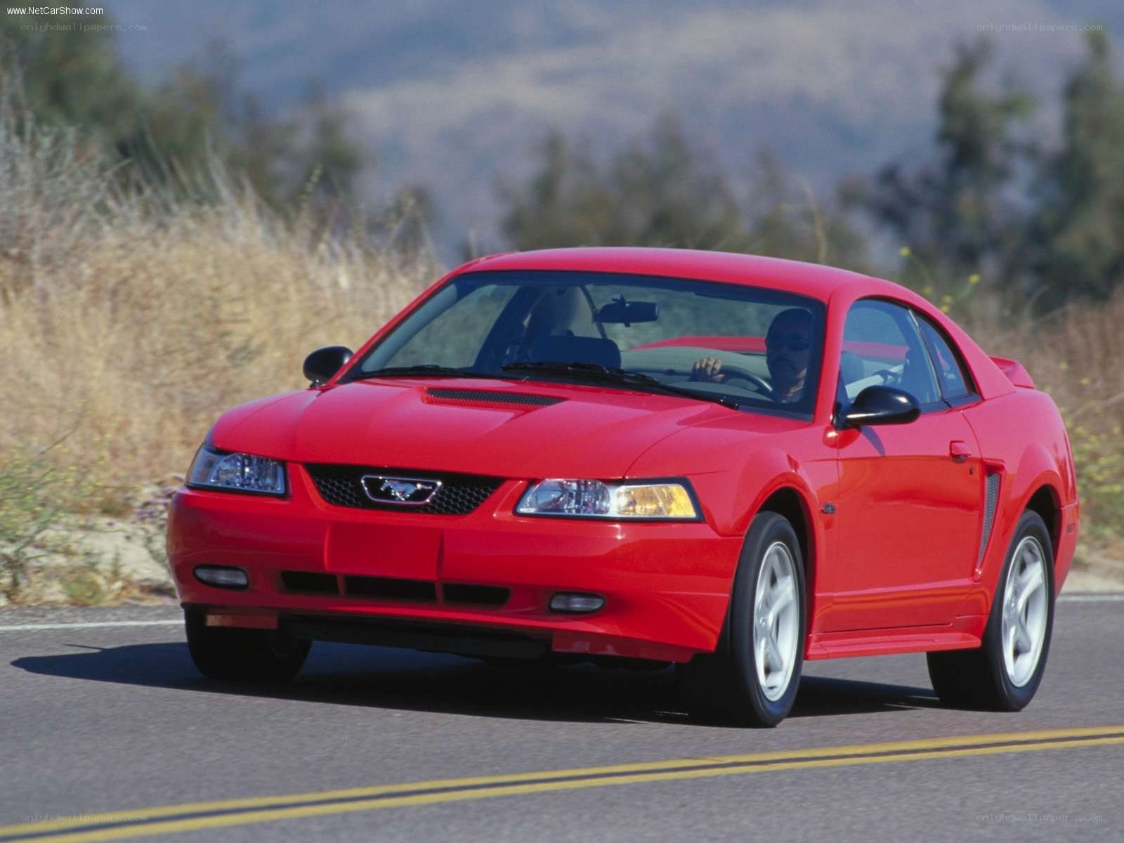 Red Ford Mustang on a road