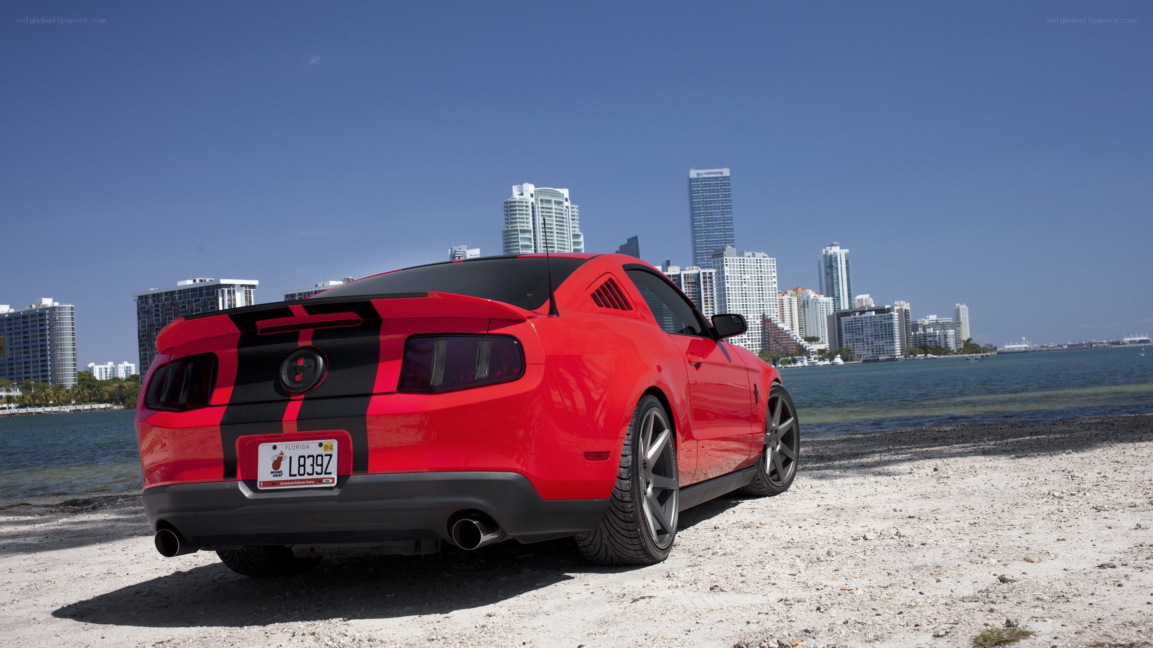 Red Ford Mustang on beach