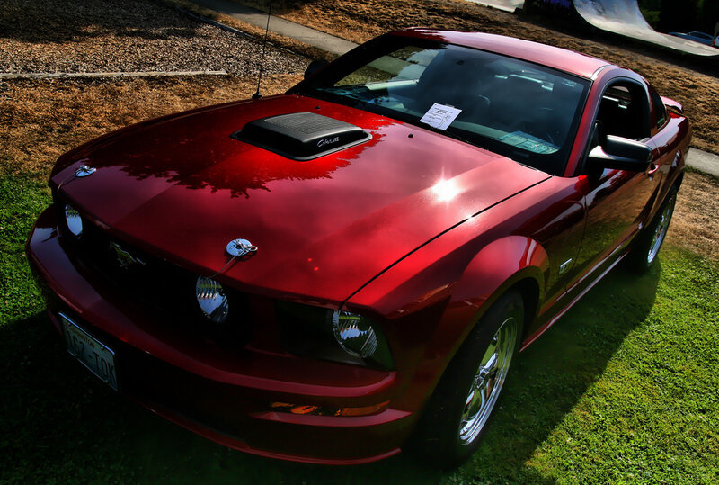 Red Ford Mustang on grass